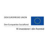 den europæiske socialfond